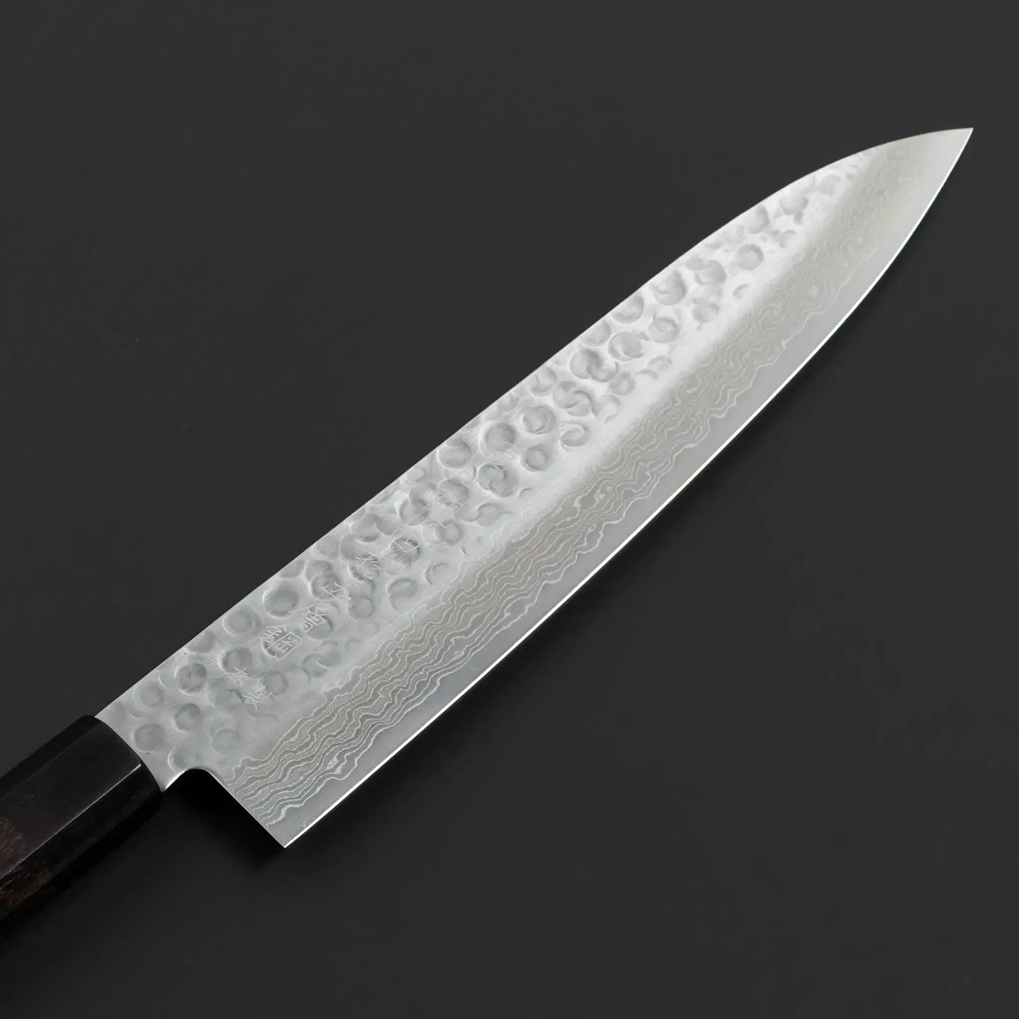 Fujikan Aus-10 Damascus Steel Gyuto Knife with ergonomic handle and razor-sharp edge for professional chefs
