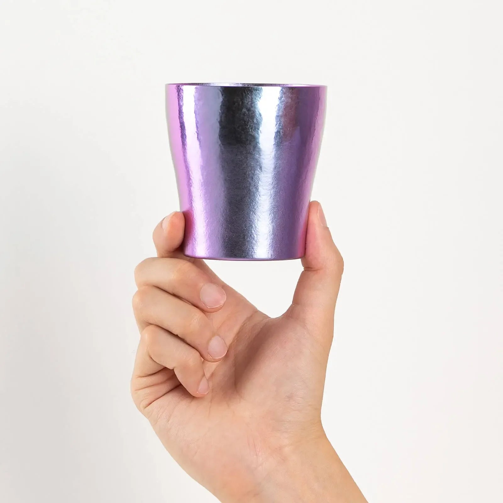 HORIE Rei Series Titanium Tumbler 250ml – Purple HORIE