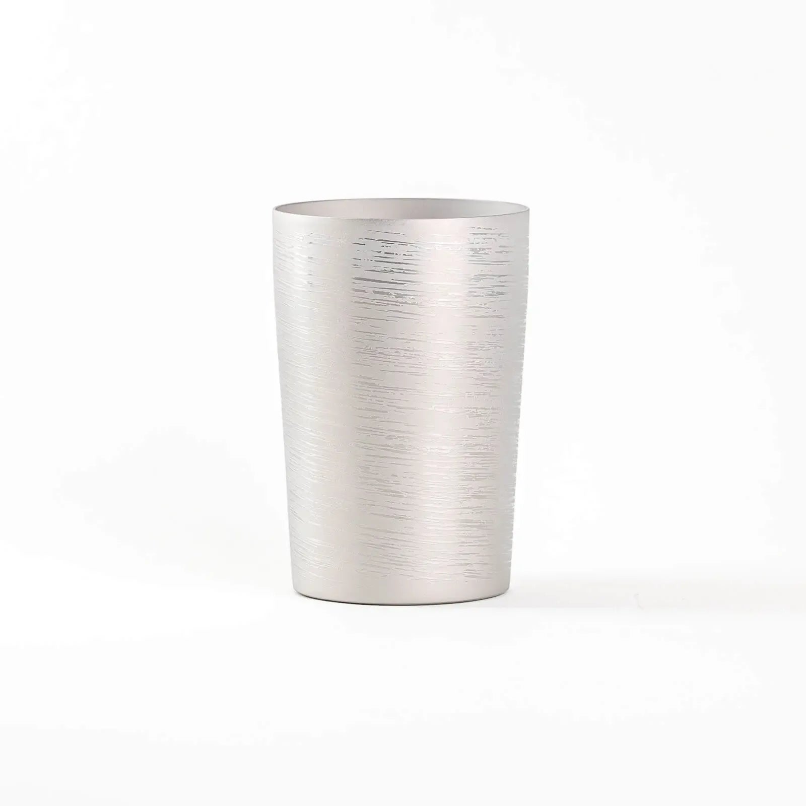 Double-walled titanium tumbler 270ml silver, front view, HORIE Shirakaba Series