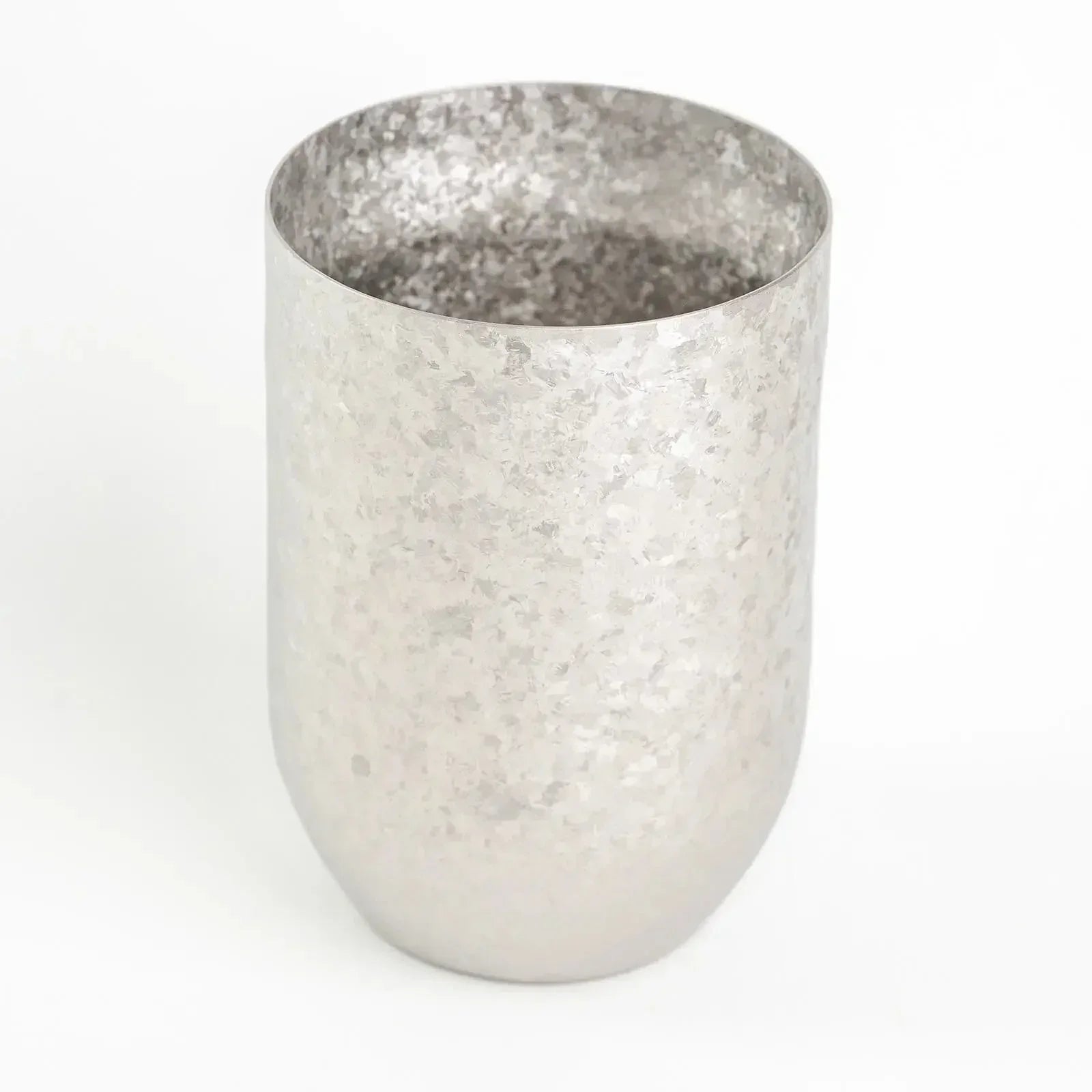 Japanese HORIE Kamazukuri Series Double Wall Titanium Tumbler Silver 400 ml HORIE